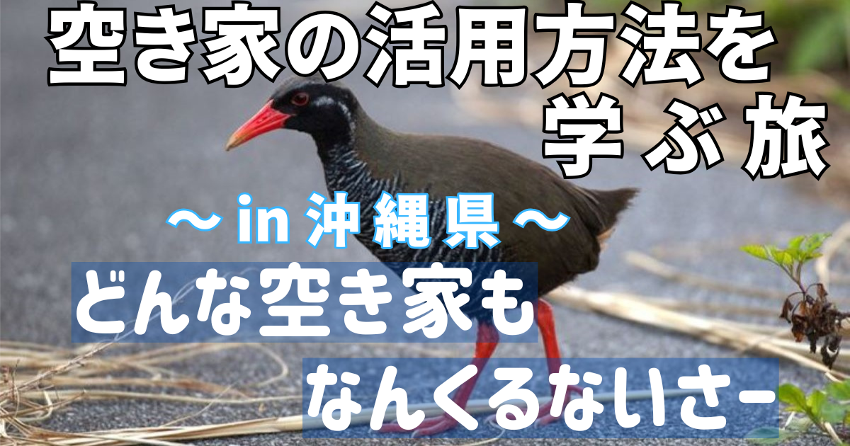 沖縄県で空き家の活用方法を学ぶ勉強会のアイキャッチ画像。道路を歩くヤンバルクイナと「どんな空き家もなんくるないさー」の文字。