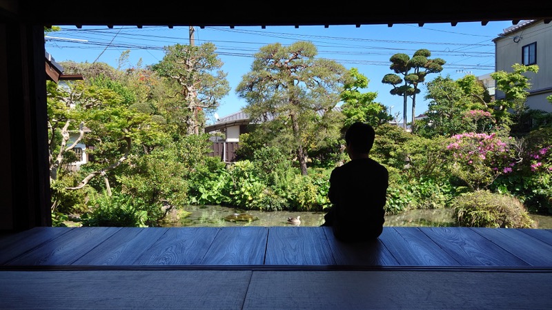島原市 四明荘の和室から見た庭園