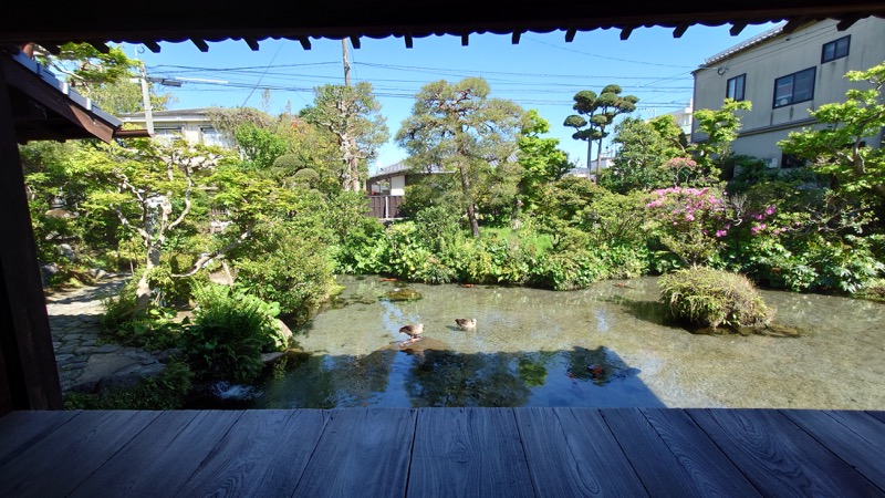 島原市 しまばら湧水館のかんざらしと柚子ドリンク