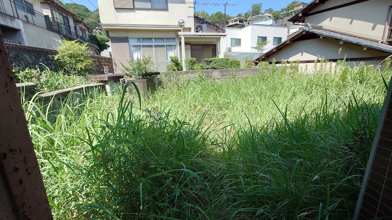 空き家を管理、玄関から振り返った庭。目の高さまで伸びた雑草