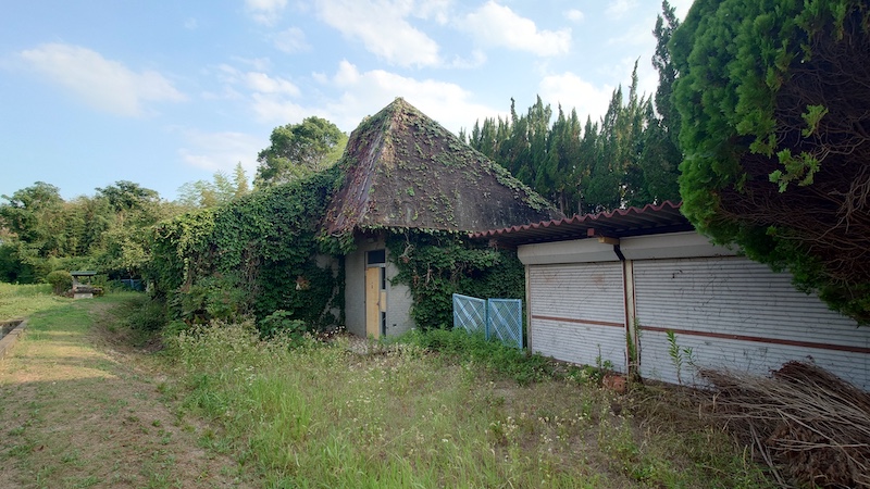 兵庫県加東市小沢の空き家の外観。蔦に覆われた茅葺き屋根の建物
